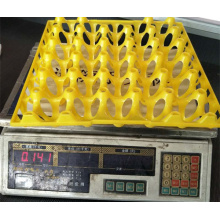 Plastic high-quality egg trays injection egg container mould