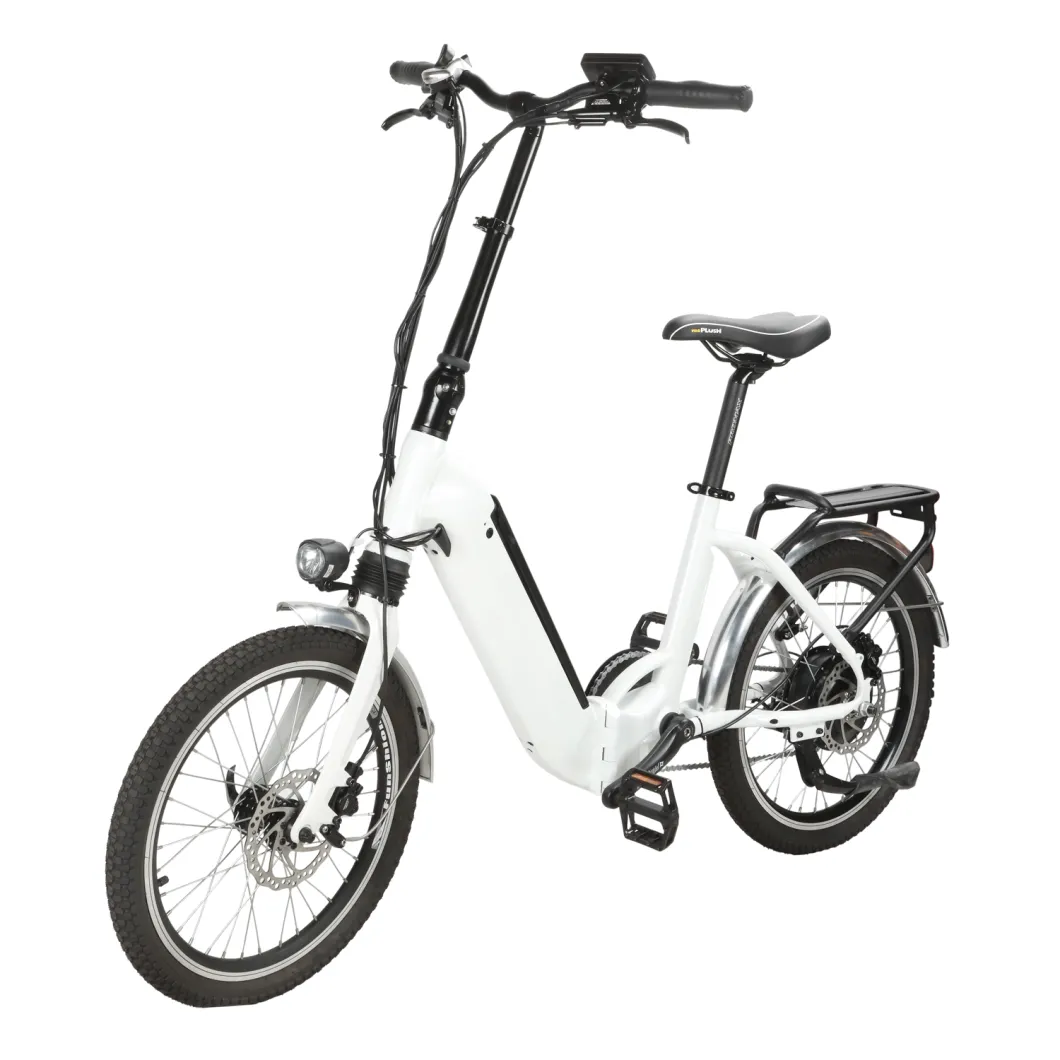 20 Inch Lithium Battery Folding Electric Bicycle with Metal Fenders