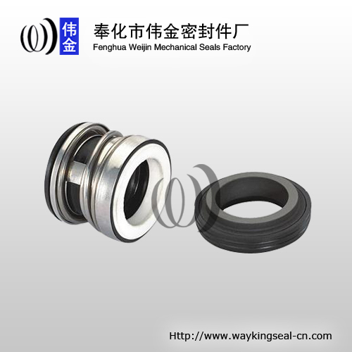 Water Pump Shaft Seals 