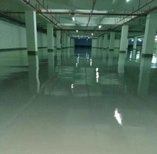Solvent transparent epoxy varnish