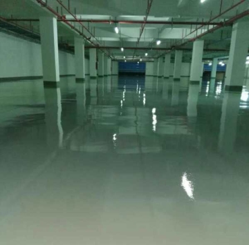 Solvent transparent epoxy varnish