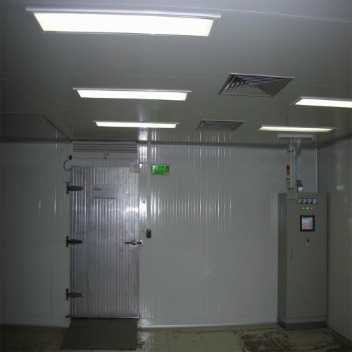 Cold Storage and High Quality Cold Room