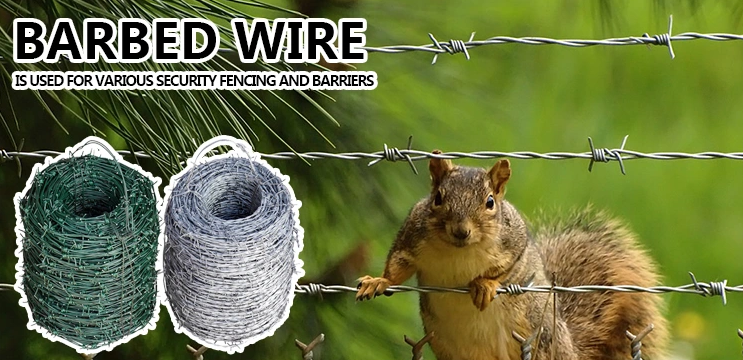 barbed galvanized steel wire the least expensive fencing option