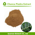 Chanca Piedra Extrakt / Phyllanthus urinaria L. Pulver