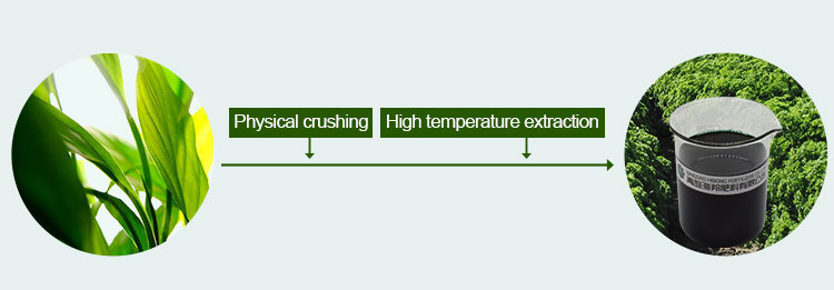 Seaweed Extract Liquid Chelated Iron Fertilizer