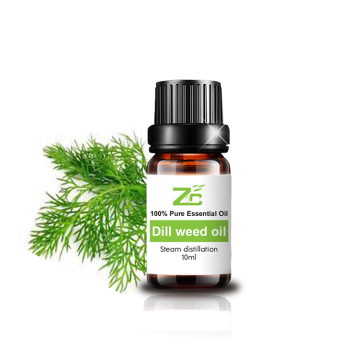 Wholesale Price Dill Weed Oil 