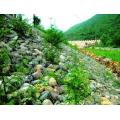 PVC gecoate hete gegalvaniseerde Gabion -draadgaaskast