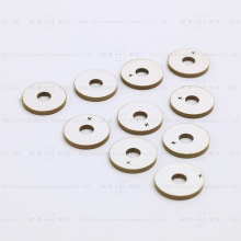 Custom PIezoelectric Ceramic Ring