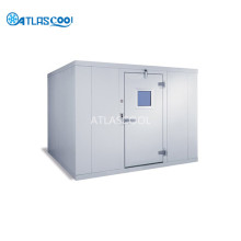 Ice Cream Cold Freezer Room