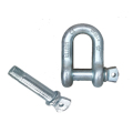 Anchor Shackle 10kn High Tensile D Shackle