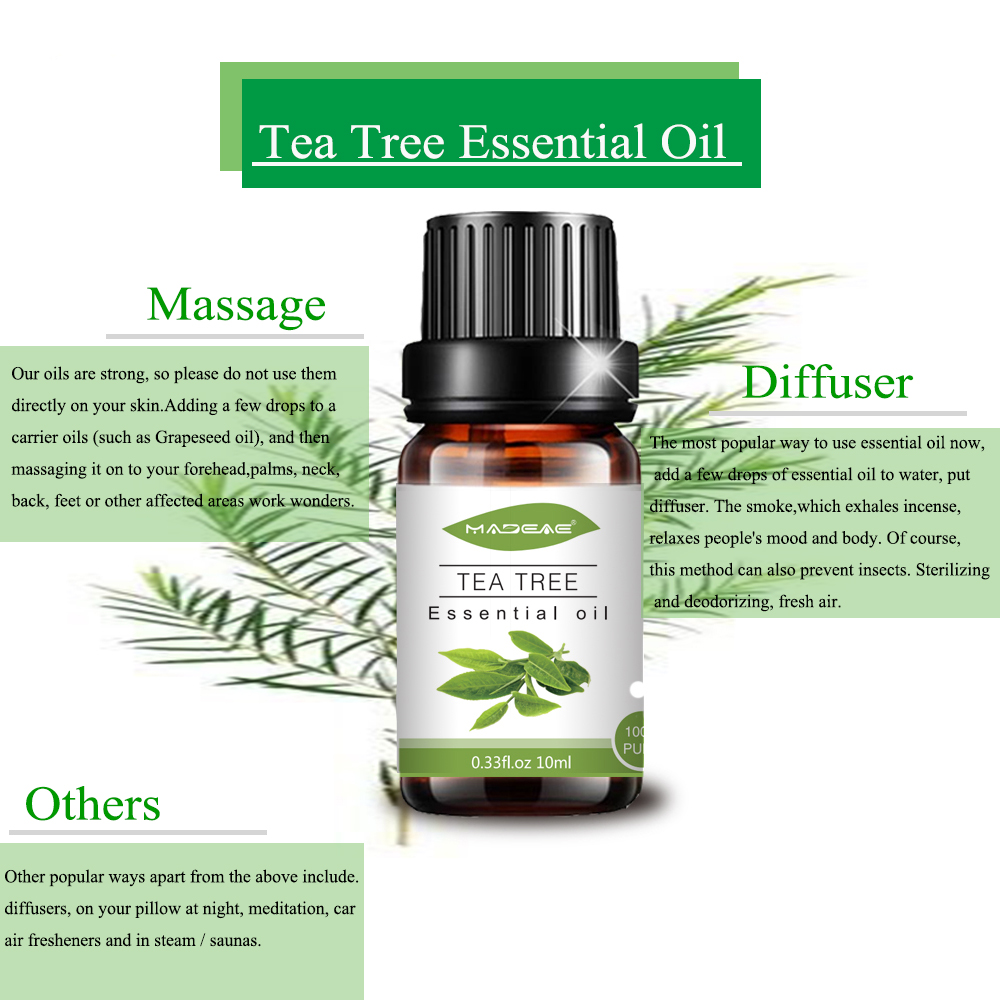 Aceite esencial de árbol de té de naturaleza 100% pura