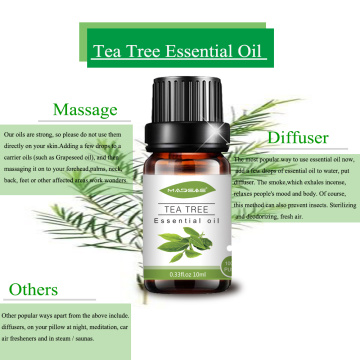 Aceite esencial de árbol de té de naturaleza 100% pura