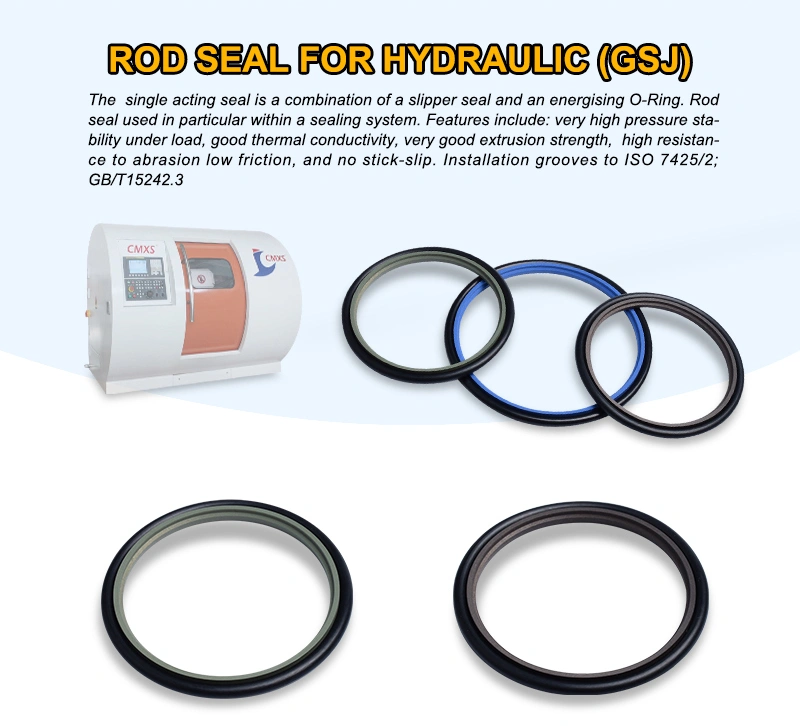 Factory Manufacture Hydraulic Piston Seals with Double O Ring (AQF)