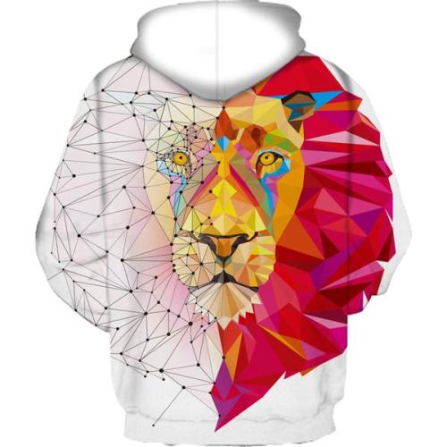 Büyülü Aslan Drawstring Hoodie