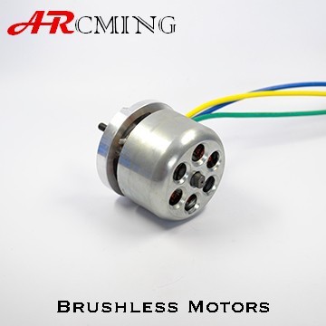 brushless direct current motor with brushless intelligent motor controller