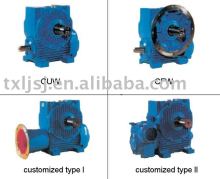 Worm gear, speed reducer