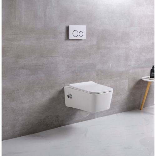 Wall Toilet Bidet Nozzle Ceramic Sanitary Toilet