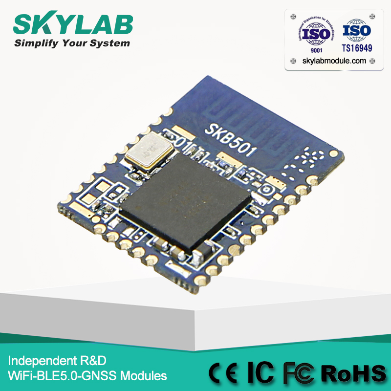 SKYLAB Wholesale Nordic nRF52840 Low Energy Transmitter Receiver Bluetooth 2.4GHz Module best price