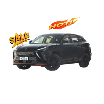 2024 Dongfeng Forthing Leiting 5 Seats SUV Electric Car