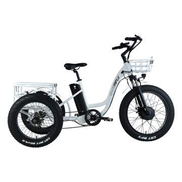 2022 best electric bike Enclosed Electric Tricycle for Sale