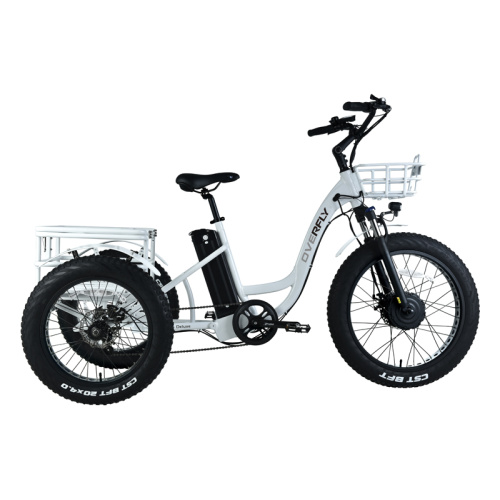 2022 Bestes elektrisches Fahrrad geschlossener elektrischer Dreirad zum Verkauf
