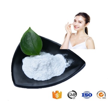 Factory CAS 99-76-3 methylparaben powder in skin care