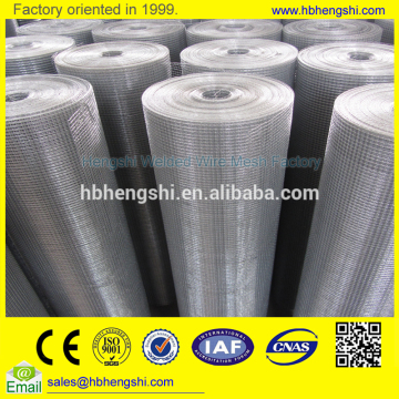 Hot-dipped zinc coated welded wire mesh supplier