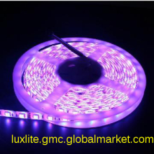 pub OEM ribbon lighting strip