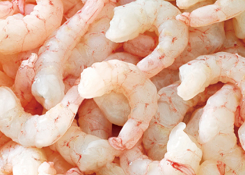 IQF PUD Pink Shrimp Sea Shrimp Series