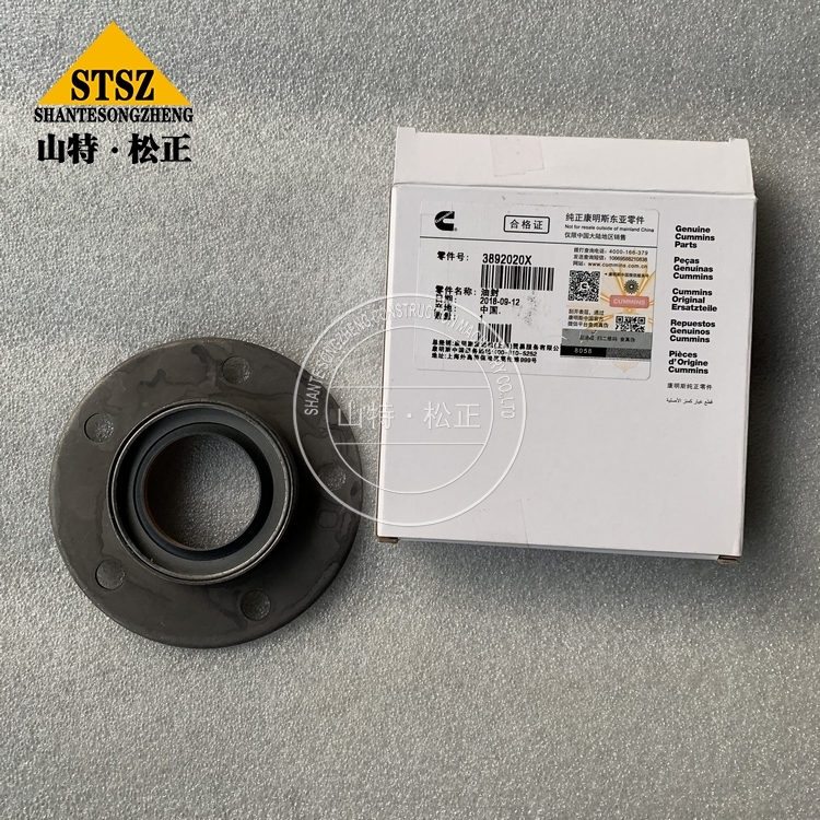 3892020 4 Jpg 3892020 4 Jpg