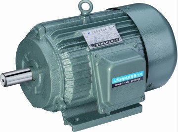 Y Series Three Phase Induction Motors