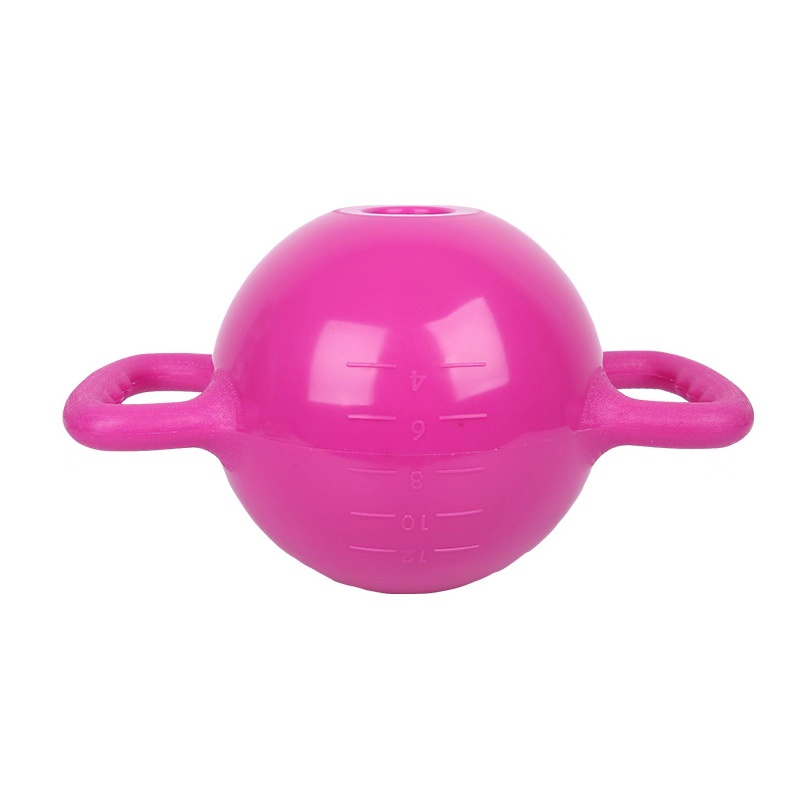 Fitness high quality Kettle bell