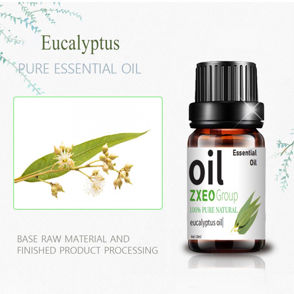 100% d&#39;huile essentielle d&#39;eucalyptus pur Détendez l&#39;aromathérapie