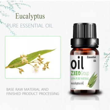 Aromaterapia de relajación de relajación de relajación de eucalipto 100% puro