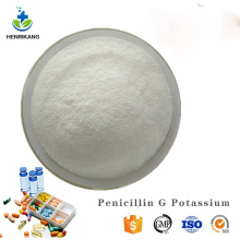 Pharmaceutical API Penicillin G Potassium oral solution