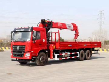 10Wheels Telescopic Stiff Boom Loader Crane