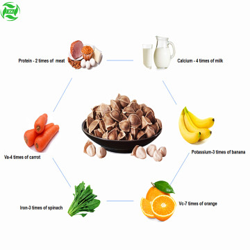 Moringa Oleifera Oil Oil Plant Carrier Oil Oil เครื่องสำอาง