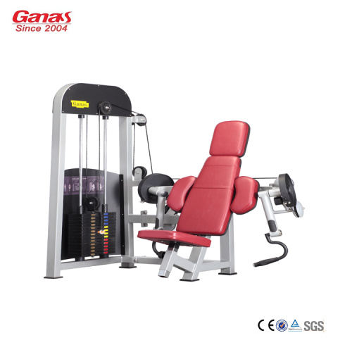Gym Commercial Equipment Seated Biceps Curl