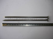 Polished common nail(factory)
