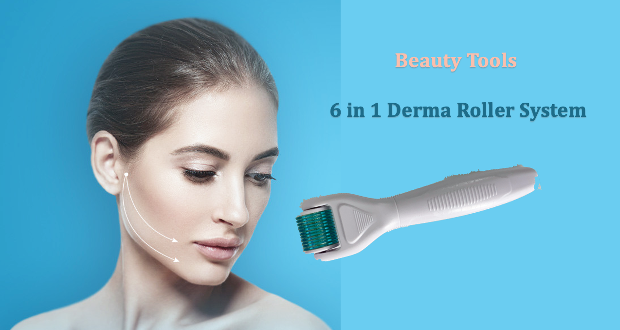 derma roller system derma roller system