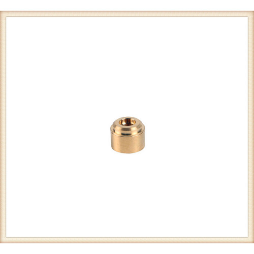 Đầu nối và đầu vào của Dzr Brass