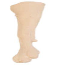 Small dog forelimb intravenous infusion model