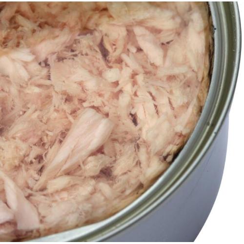 Canned Skipjack Tuna Producer