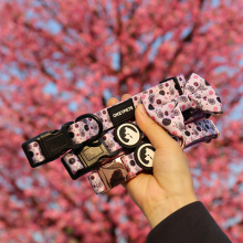 OKEYPETS Custom Designer Adjustable Luxury Neoprene Padded Dog Collars