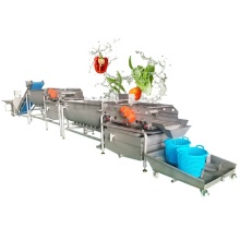 Carrot Vegetable Washing Machine Price in India