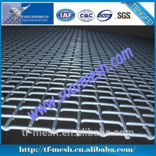 Alibaba Trade Assurance S.S Double Crimp Wire Mesh ( 25 YEARS EXPERIENCES ISO 9001)