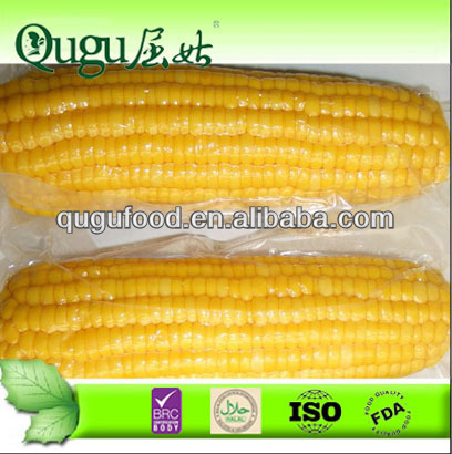 canned sweet corn