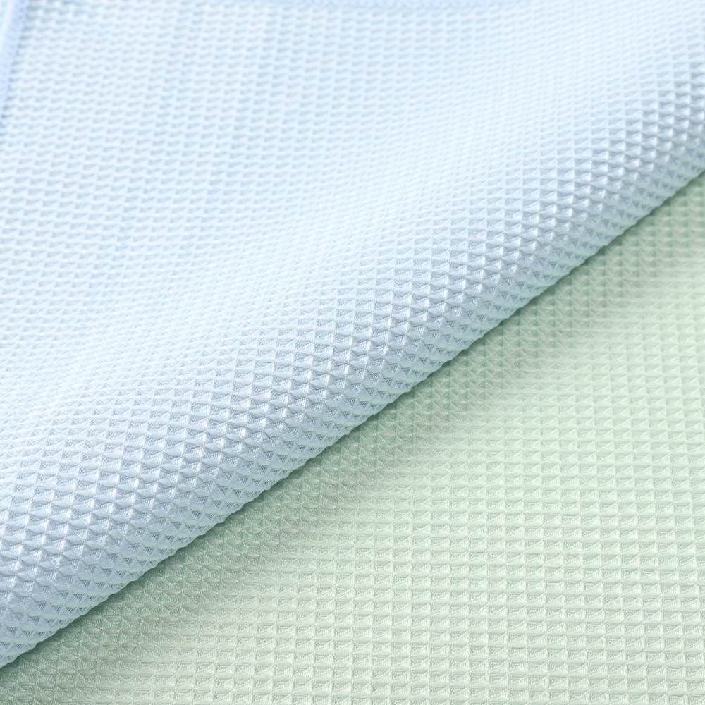 Anti Bacterial Fish Scale Cloth