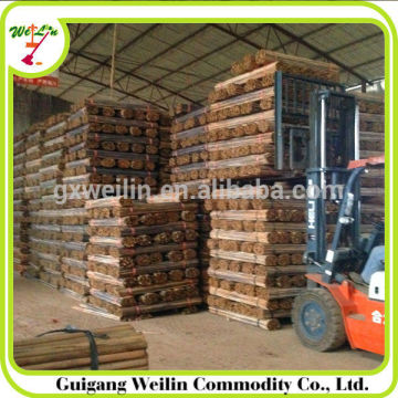 varnished wooden stick