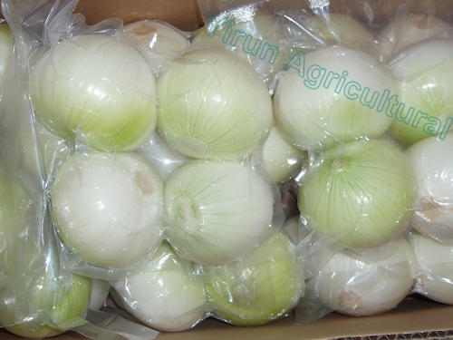 Fresh Peeled Onions With Best Quality